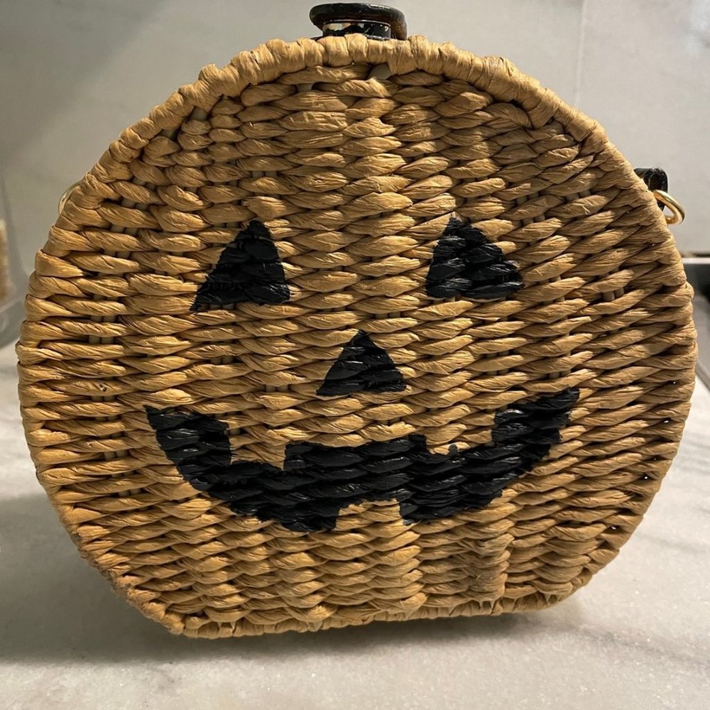 Hand Painted Pumpkin Straw Rattan Handbag Bag